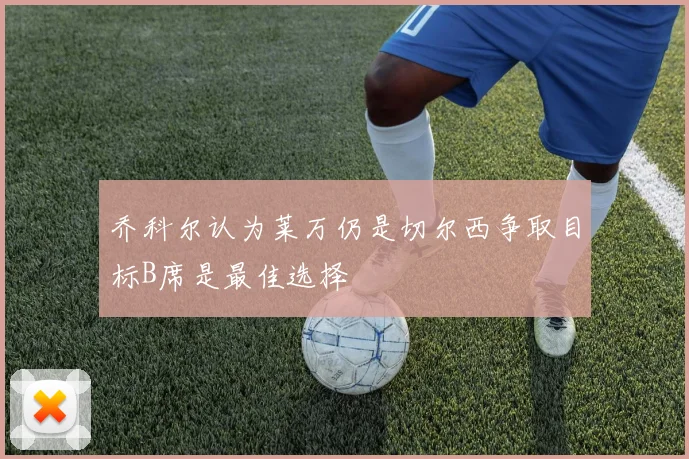 乔科尔认为莱万仍是切尔西争取目标B席是最佳选择